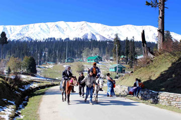 Srinagar – Gulmarg - Srinagar