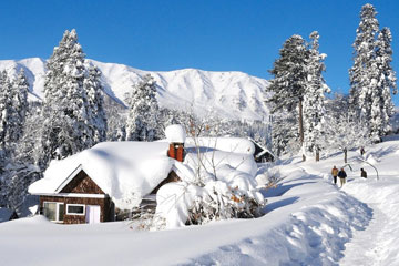 Gulmarg Car Rentals Service from Katra