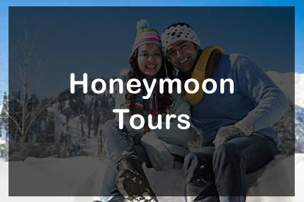 Group Tours